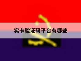 实卡验证码平台有哪些