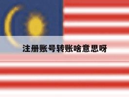 注册账号转账啥意思呀