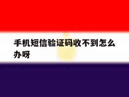 手机短信验证码收不到怎么办呀
