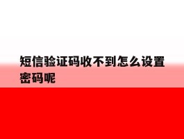 短信验证码收不到怎么设置密码呢