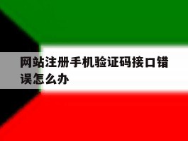 网站注册手机验证码接口错误怎么办