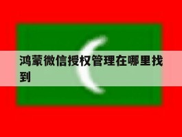 鸿蒙微信授权管理在哪里找到