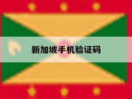新加坡手机验证码
