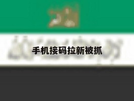 手机接码拉新被抓