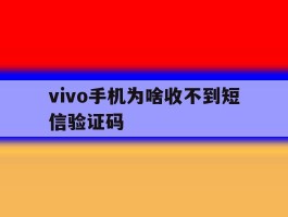 vivo手机为啥收不到短信验证码