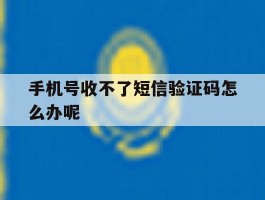 手机号收不了短信验证码怎么办呢