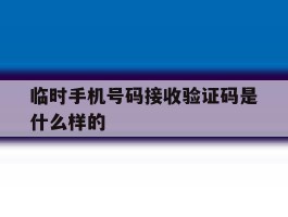 临时手机号码接收验证码是什么样的