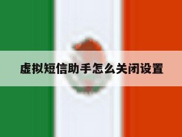 虚拟短信助手怎么关闭设置