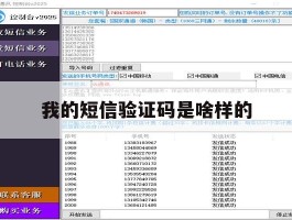 我的短信验证码是啥样的