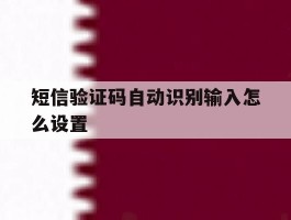短信验证码自动识别输入怎么设置