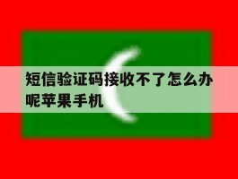 短信验证码接收不了怎么办呢苹果手机的简单介绍