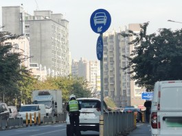 临时号牌能拍到吗