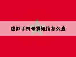 虚拟手机号发短信怎么查