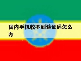 国内手机收不到验证码怎么办