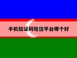 手机验证码短信平台哪个好