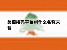 美国接码平台叫什么名称来着