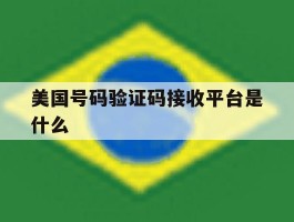 美国号码验证码接收平台是什么