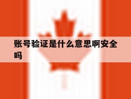 账号验证是什么意思啊安全吗