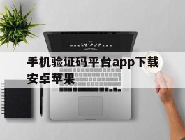 手机验证码平台app下载安卓苹果