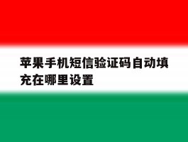 苹果手机短信验证码自动填充在哪里设置