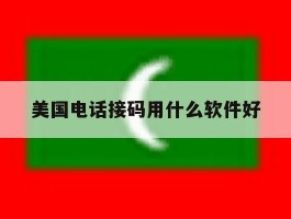 美国电话接码用什么软件好