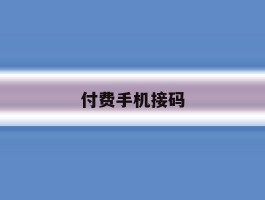 付费手机接码