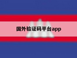 国外验证码平台app