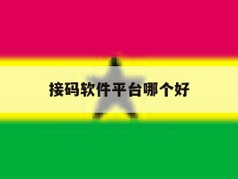 接码软件平台哪个好