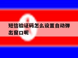 短信验证码怎么设置自动弹出窗口呢