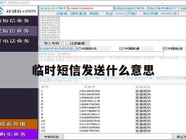 临时短信发送什么意思
