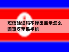 短信验证码不弹出显示怎么回事呀苹果手机