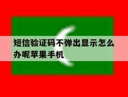 短信验证码不弹出显示怎么办呢苹果手机的简单介绍