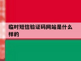 临时短信验证码网站是什么样的