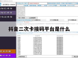 抖音二次卡接码平台是什么
