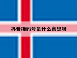 抖音接码号是什么意思呀