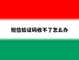 短信验证码收不了怎么办