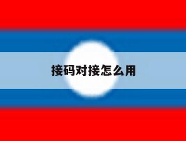 接码对接怎么用