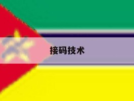接码技术