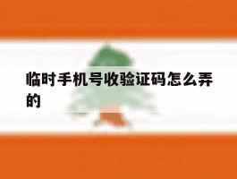 临时手机号收验证码怎么弄的