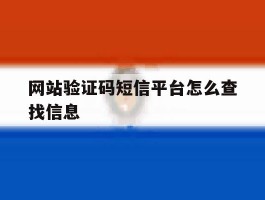 网站验证码短信平台怎么查找信息