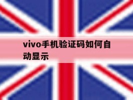 vivo手机验证码如何自动显示