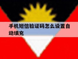 手机短信验证码怎么设置自动填充