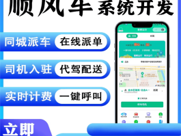 长途代驾接单平台app有哪些