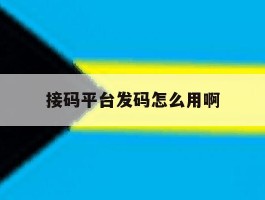 接码平台发码怎么用啊
