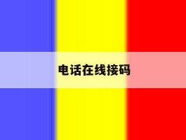 电话在线接码