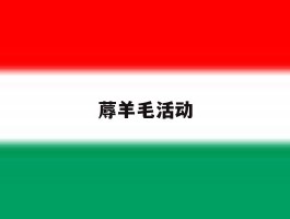 蓐羊毛活动