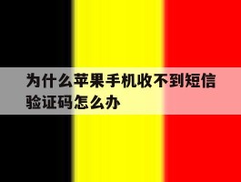 为什么苹果手机收不到短信验证码怎么办