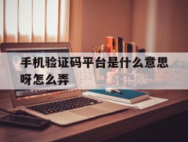 手机验证码平台是什么意思呀怎么弄