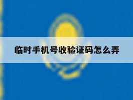 临时手机号收验证码怎么弄