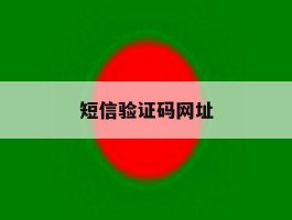 短信验证码网址